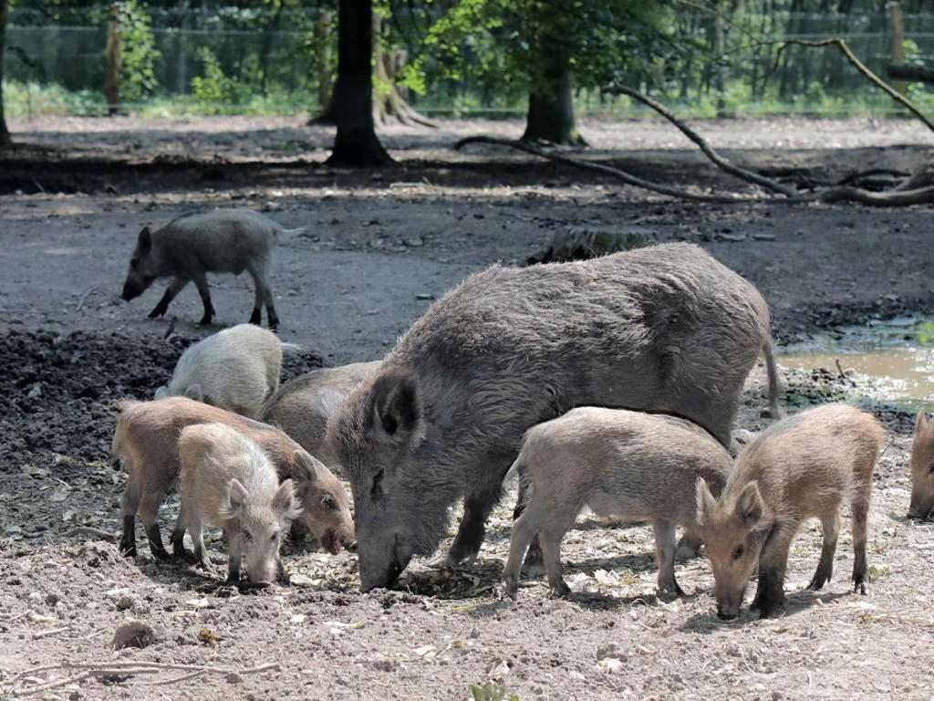 Wohlfuhloase - Ganzes Haus Mit 2 Schlafzimmern Moers Exterior foto